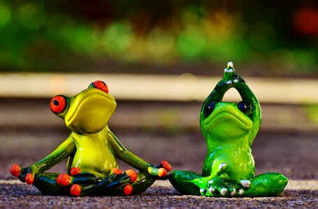 Gymnastics funny frog