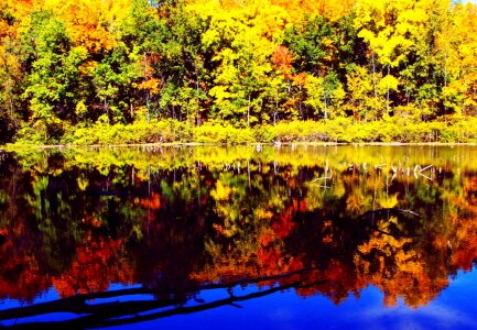 Autumn water reflection photo