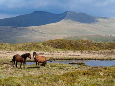 Brecon Beacons National Park photo