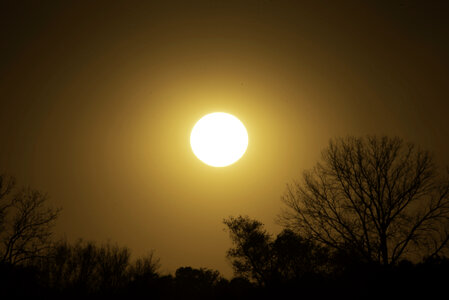 Late Afternoon sun in orange sky