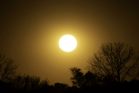 Late Afternoon sun in orange sky photo