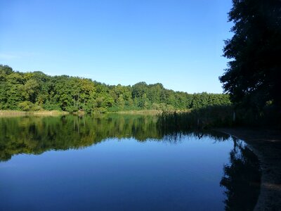 Grunewald lake nature