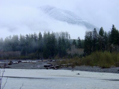 Hoh River at Olympic National Park photo