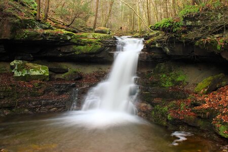 Creek ecology environment