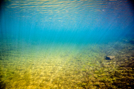 Underwater landscape photo