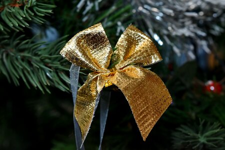 Christmas Tree golden glow ribbon photo