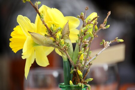 Daffodil bouquet gantry