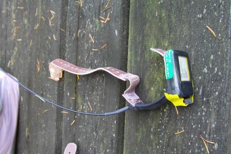 Apparatus collar photo