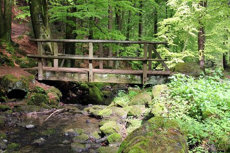 Web silver creek water photo