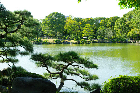 9 Kiyosumi Garden photo