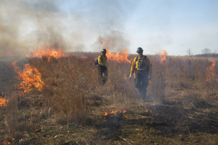 Firefighters walk through burn area