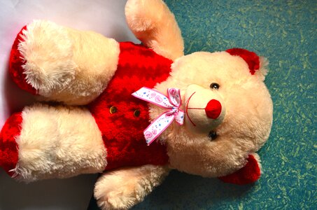 Cute Teddy Bear Toy photo