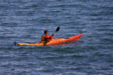 Kayaking in Resurrection Bay photo