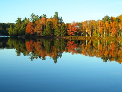 Reflection autumn foliage
