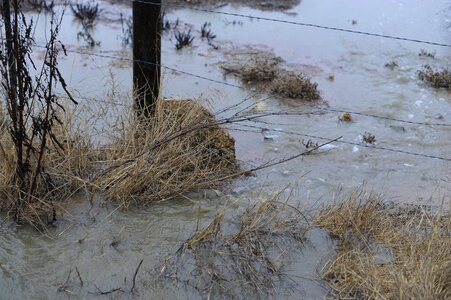 Runoff Rushing Into Fields photo