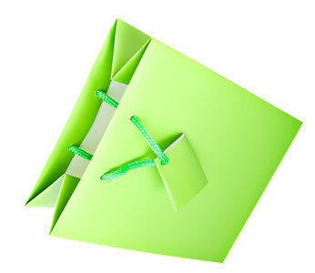 Green paper gift bag photo