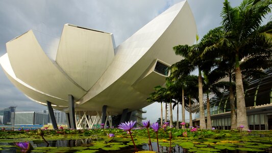Lotus flower pond landmark