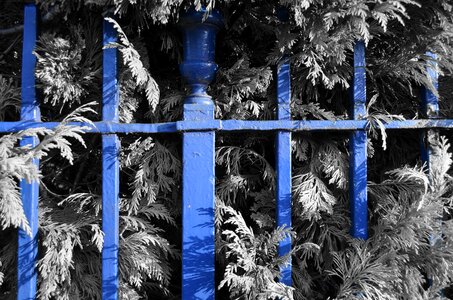 Fence blue iron