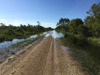 San Bernard Tour Loop 19 days post Harvey photo