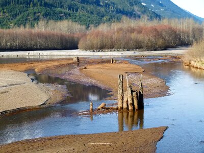 Water sand banks wooden poles