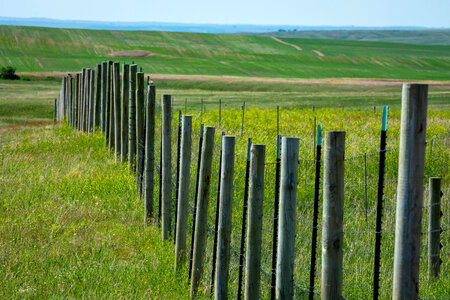 Fence in Fort Peck Reservation photo