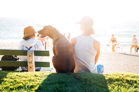 Woman Wearing a Cap and a T-shirt Sitting on the Grass Near the Beach with her Dog photo