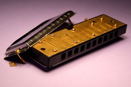 Musical instrument open inside