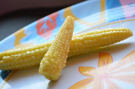 Two Baby Corns In A Plate photo
