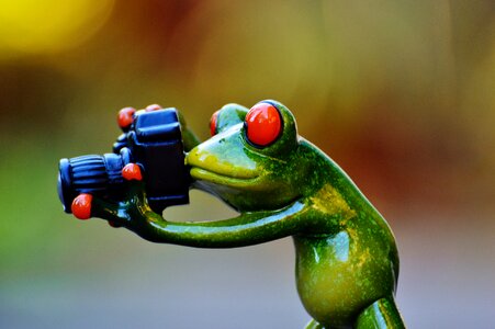 Camera fun animal