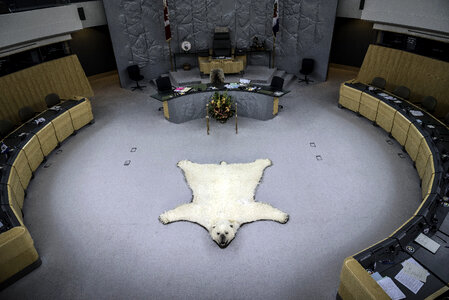 Polar Bear Rug in the Congress Room in Yellowknife photo