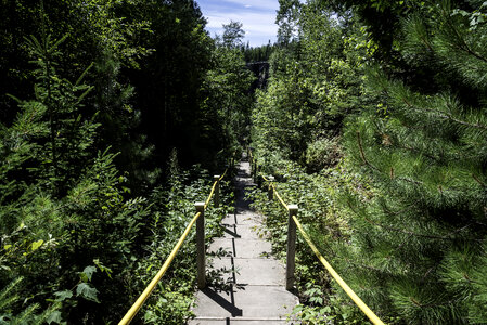 Stairs down the Canyon between the trees in Eagle Canyon, Ontario