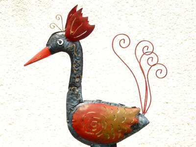 Hen bird colorful