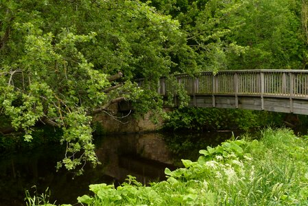 Landscape wilderness scenery photo