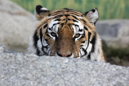 Relaxation rest look