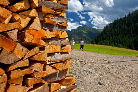 Beech logs fuel work photo