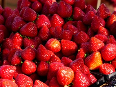 Healthy fresh food