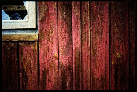 Wall color wood
