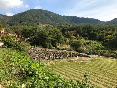 Doolare trail Dool Regil in Jirisan national park S.Korea photo