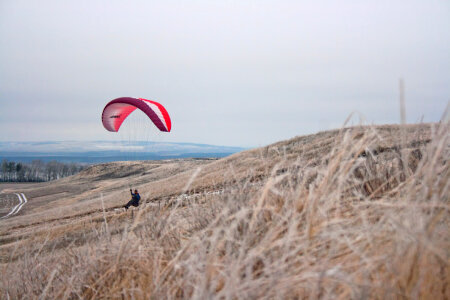 Paraglider