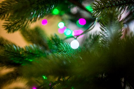 Christmas Tree Lights Bokeh photo
