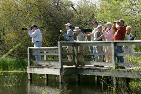 Birdwatchers find subject to view