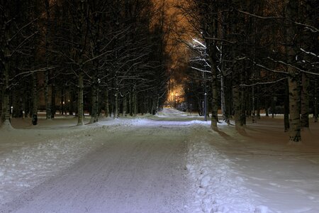 park covered with snow at night photo