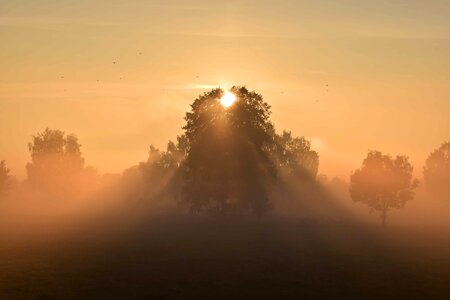 Backlight dark dawn photo