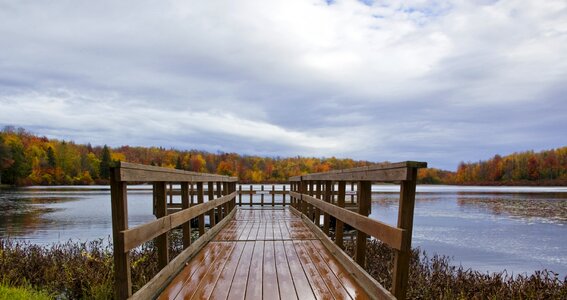 Lake autumn fall