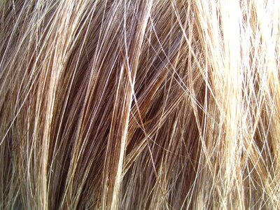 Blonde Hair detailed hair photo