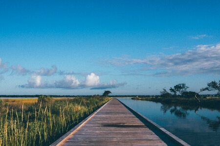 Stroll boardwalk trail photo