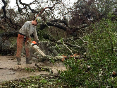 Hurricane Harvey damage clean-up-3 photo