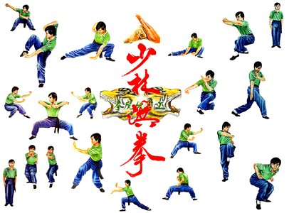 Tiger Kung Fu Martial Arts