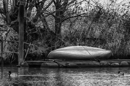 Bench black black and white