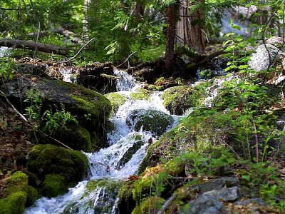 Rocks water 